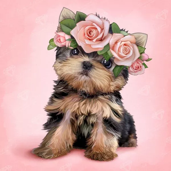Yorkie & Roses